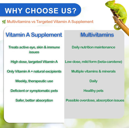 Reptile Vitamin A Supplement – Eye Health Support for Lizards, Turtles, Snakes & Amphibians