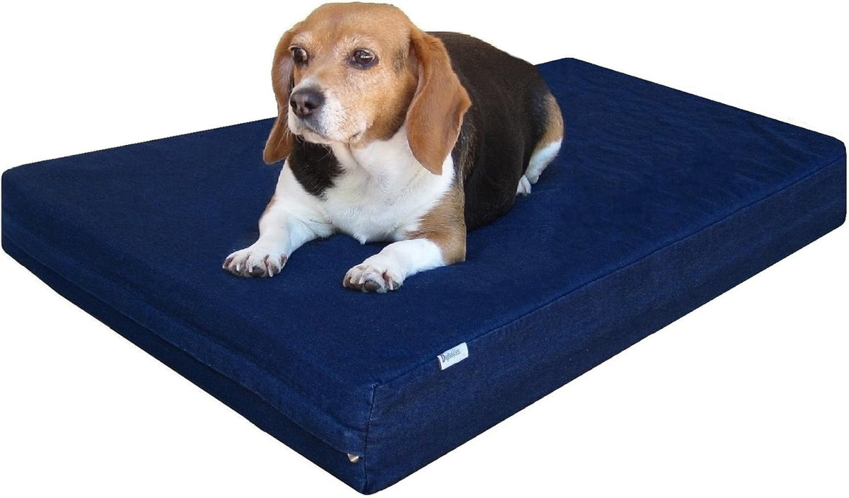 Dogbed4less Premium Gel Memory Foam Dog Bed, Durable Denim Cover with Waterproof Liner and Extra