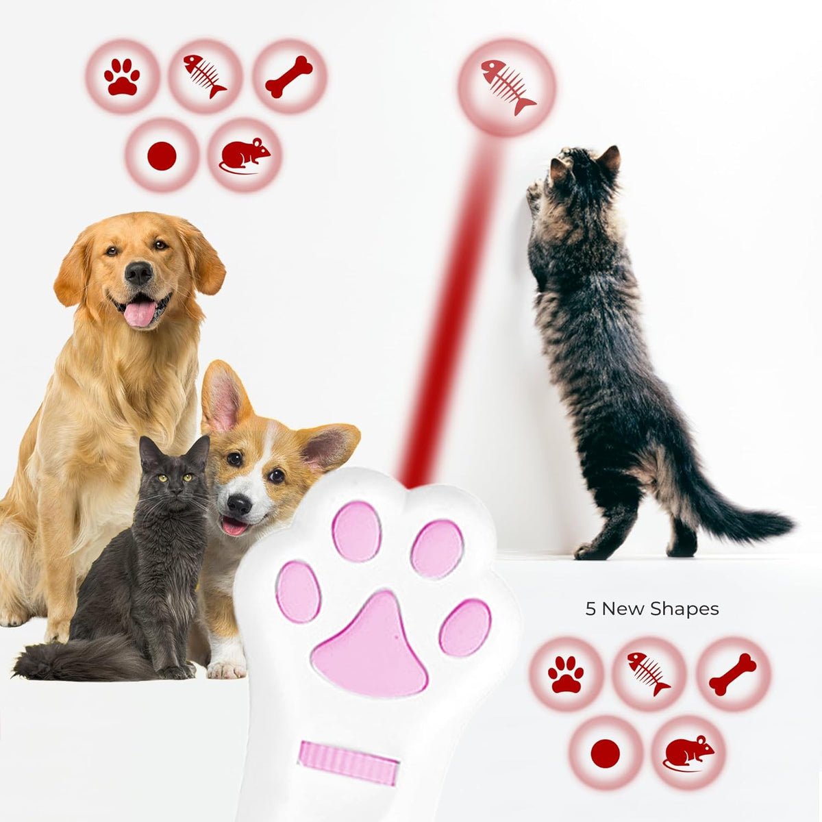 O'ANTOO Cat Toy - Dog Toy | Wall Image Projector | Indoor Interactive Cat Toy with 5 Different