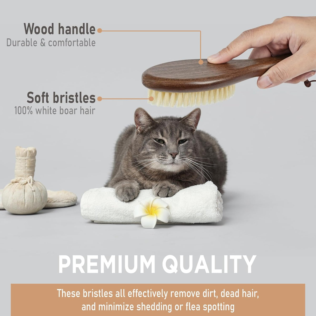 Takavu Natural White Boar Bristle Cat Brush - Gentle Grooming Tool for Sensitive Skin, Smoothing