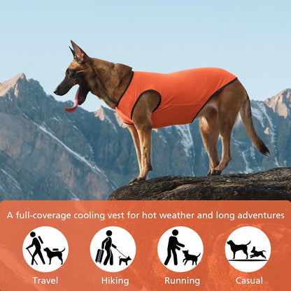 2 Pack Cooling Shirts for Dogs, Lightweight Mesh Breathable Dog Clothes for Medium Dogs Boy