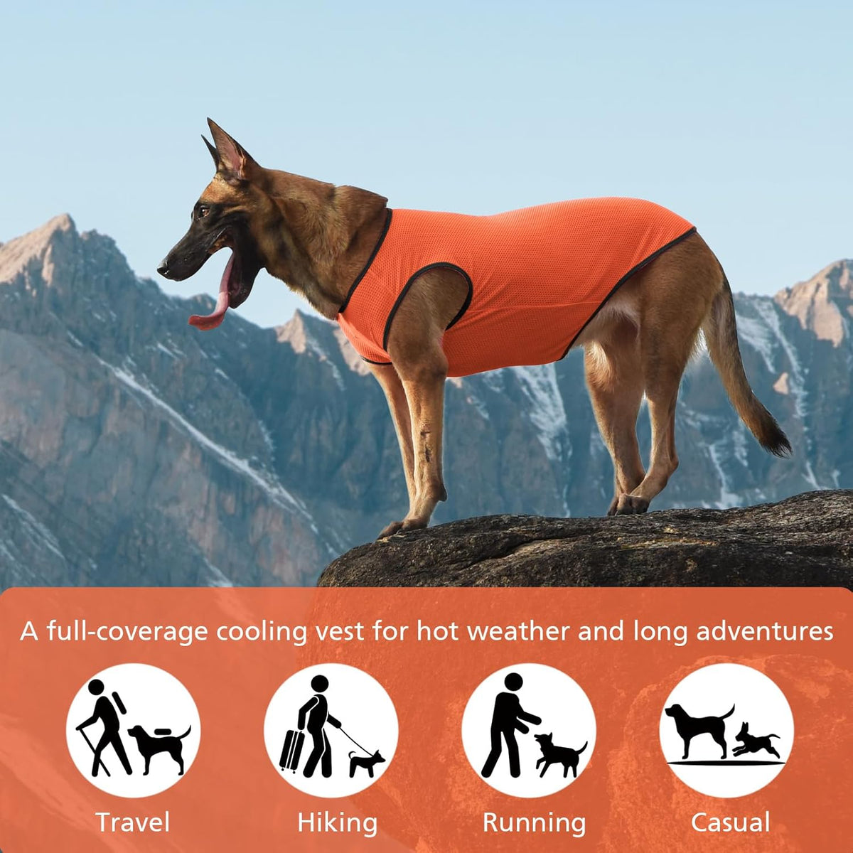 2 Pack Cooling Shirts for Dogs, Lightweight Mesh Breathable Dog Clothes for Medium Dogs Boy