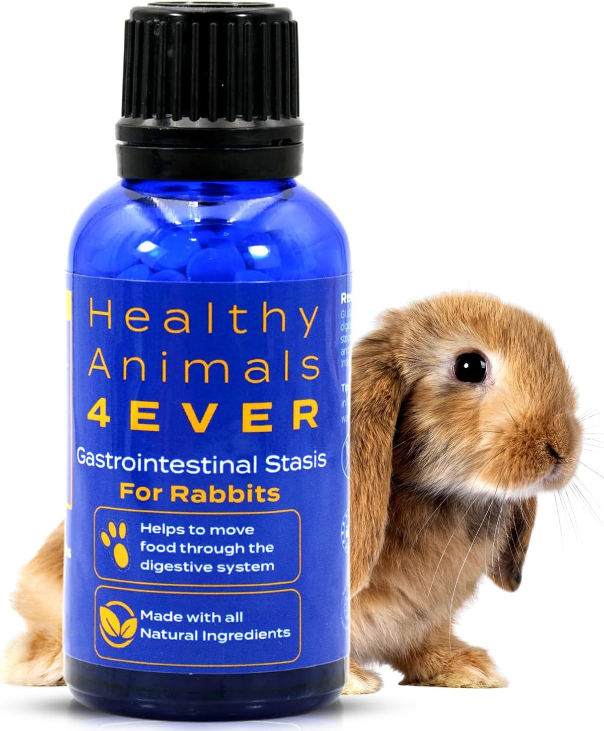 HA4E - Rabbit Gastrointestinal Stasis Treatment - Promotes Healthy Digestion & GI Stasis Relief