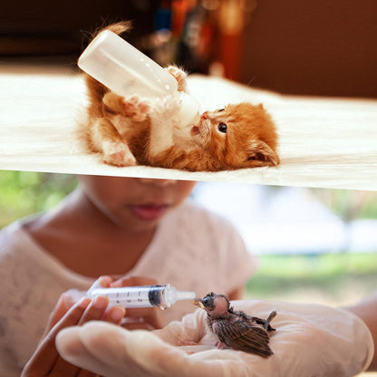 17 Pieces Pet Nursing Bottle Kit Including 2 Pet Feeding Bottle, 8 Replacement Feeding Nipples, 5