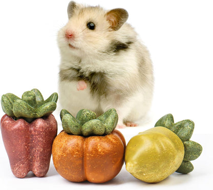TEEWY Guinea Pig Chew Toys, Natural Vegetables and Timothy Grass, Hamster Chew Toys, Prevents