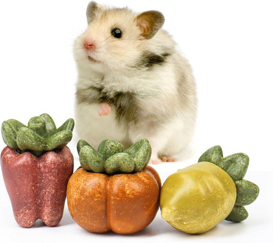 TEEWY Guinea Pig Chew Toys, Natural Vegetables and Timothy Grass, Hamster Chew Toys, Prevents