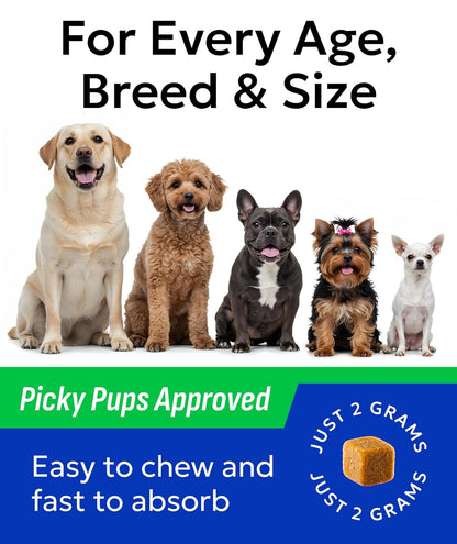 BARK&SPARK Dog Probiotics for Digestive Health w/Enzymes - Diarrhea Gas Treatment Upset Stomach