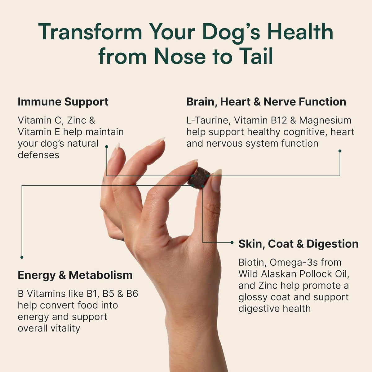 Wuffes 23-in-1 Dog Multivitamin Supplement for Hip & Joint, Skin & Coat and Immune System Support