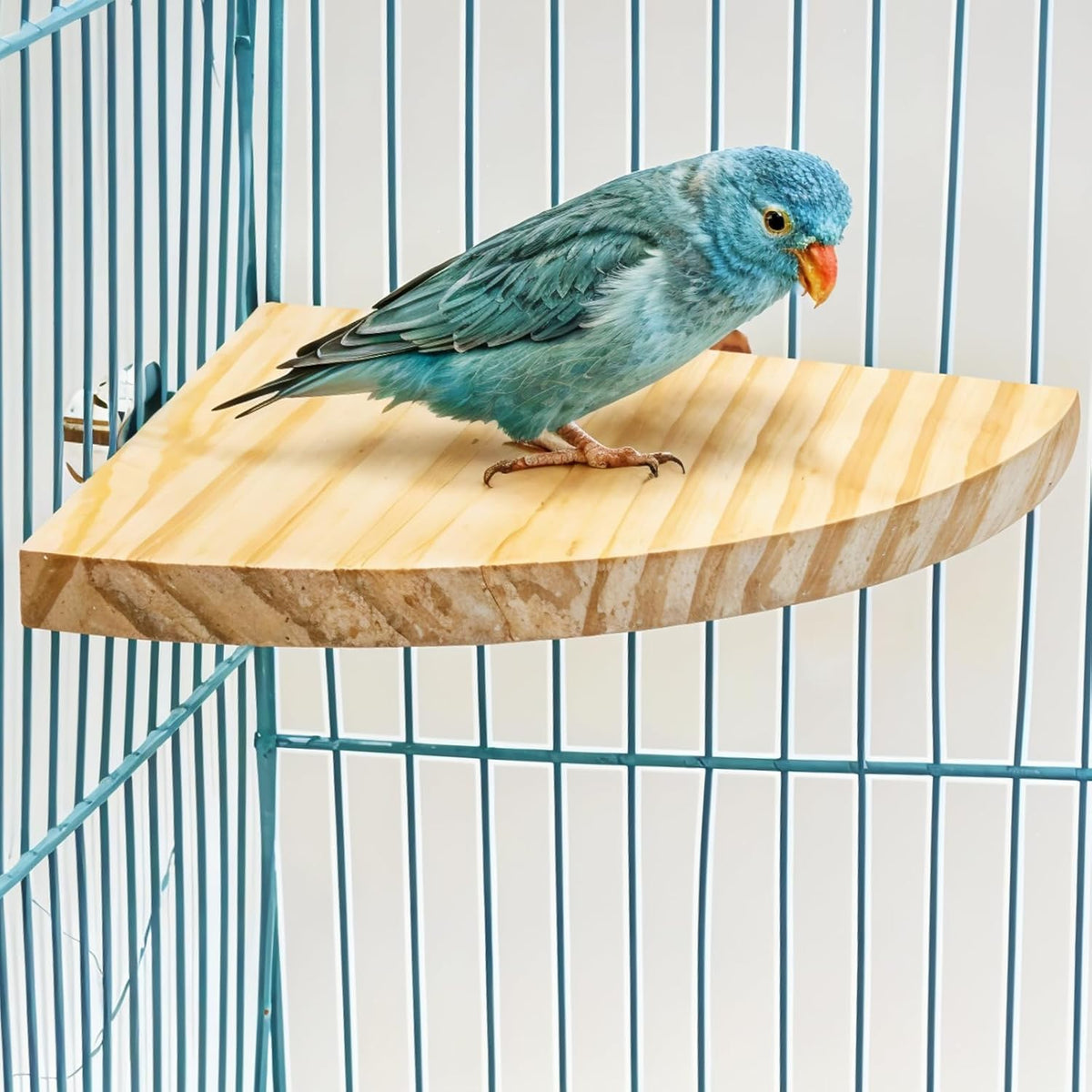Bird Perch Platform Stand Wooden Parrot Perch Corner 6.7 Inches Fan Shape Playground Cage