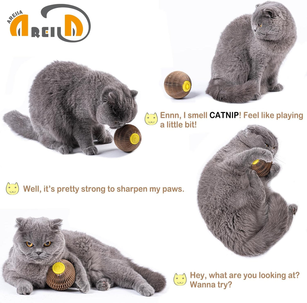 AREIIA Catnip Ball Toy for Cats Catnip Refillable Scratcher Ball Kitty's Faithful Playmate Reduce