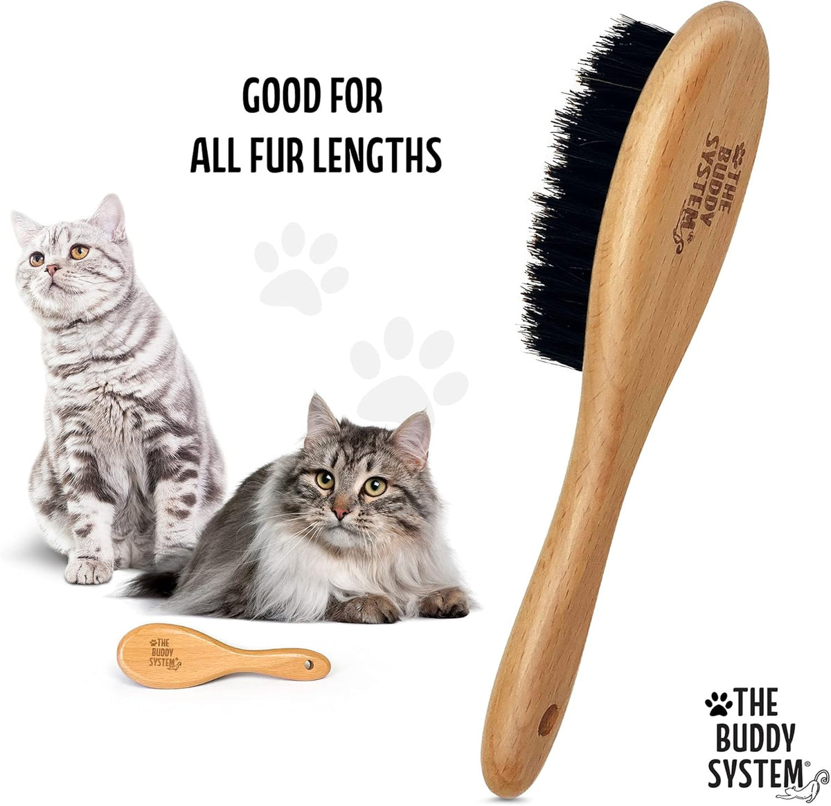 The Buddy System Cat Brush with Boar Bristle and Wooden Handle, Professional Grade Daily Grooming