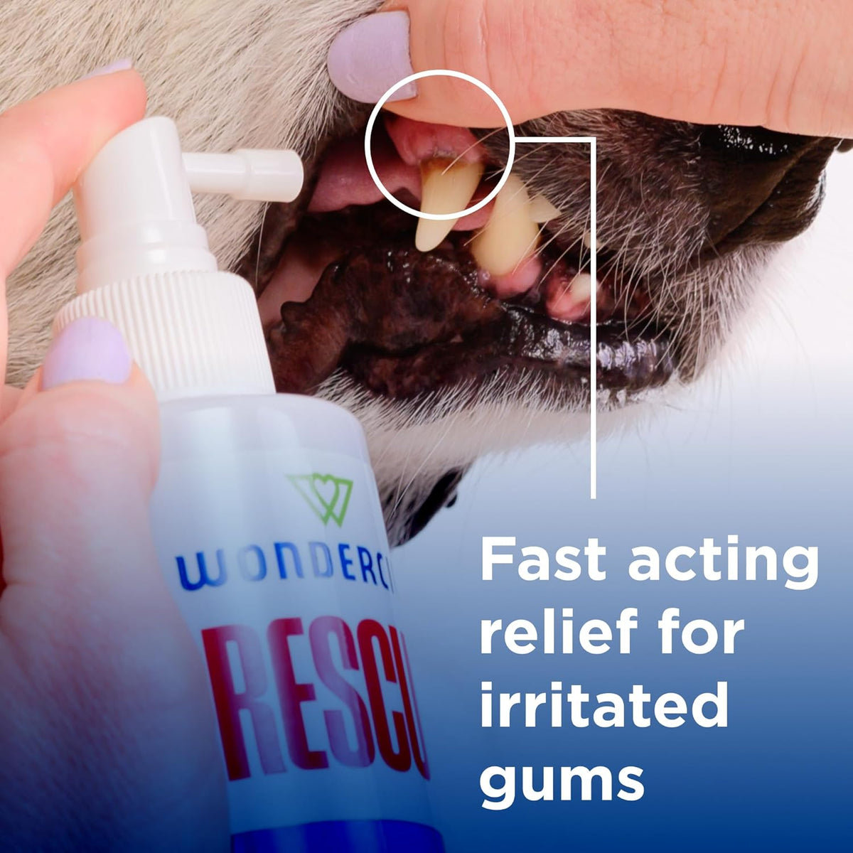 Wondercide Rescue - Oral Spray for Dogs and Cats – Freshens Breath, Soothes Gums, Alcohol Free