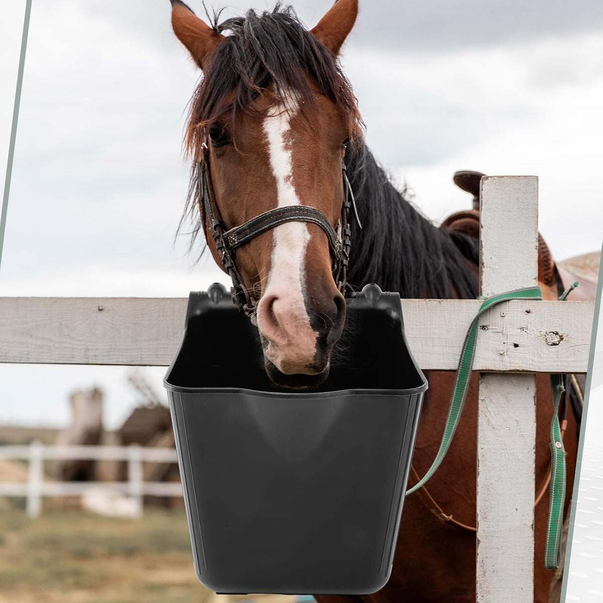 Marsui 8 Pcs 15 Quart Horse Feeders for Stall Hook Over Hanging Fence Hay Feeder Mountable