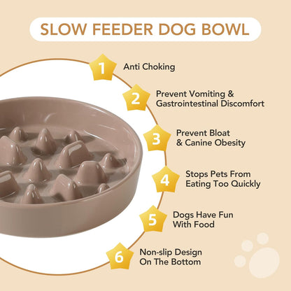 Ceramic 8.2 inch Dog Bowl Slow Feeder, Slow Pet Food Dish for Medium and Large Dog, Stop Bloat