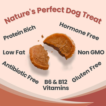 Farm To Pet Dog Training Treats, Healthy Turkey Chips for Dogs - 4 oz, 100% Human Grade Turkey