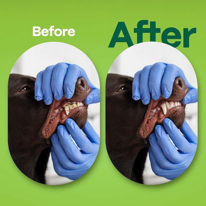 DOCO Dog Teeth Cleaning Wipes Dental Finger Wipes for Cats & Dogs Remove Plaque & Tartar, Freshen