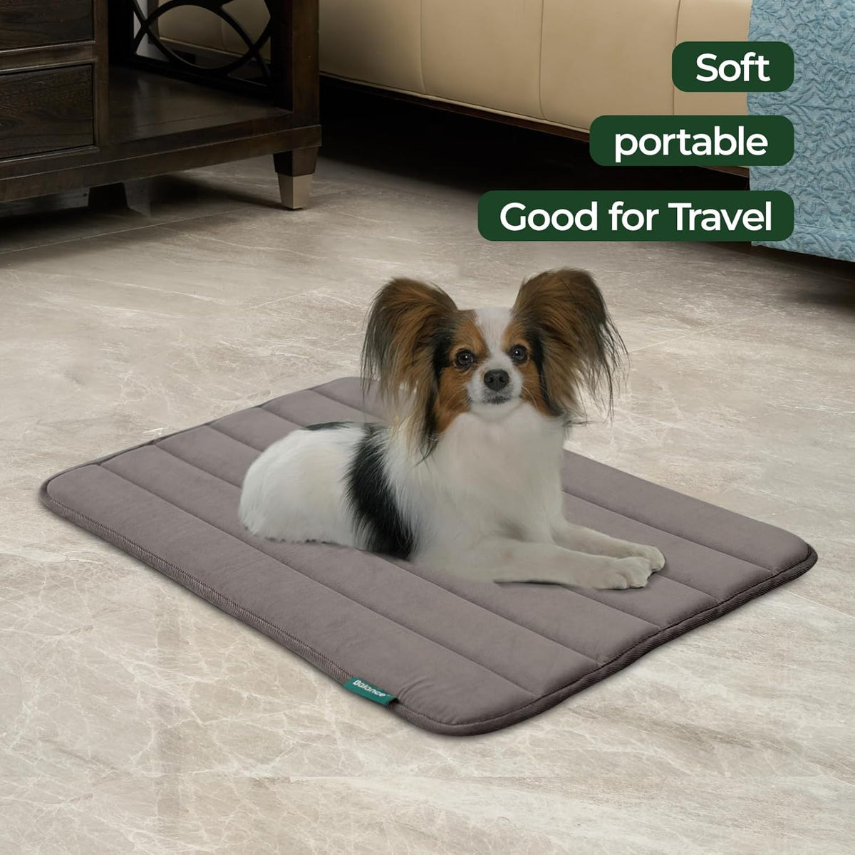 BALANCE Dog Crate Pad, Dog Foam Crate Mat Kennel Pad, Washable Water-Resistant Pet Bed Flat Dogs