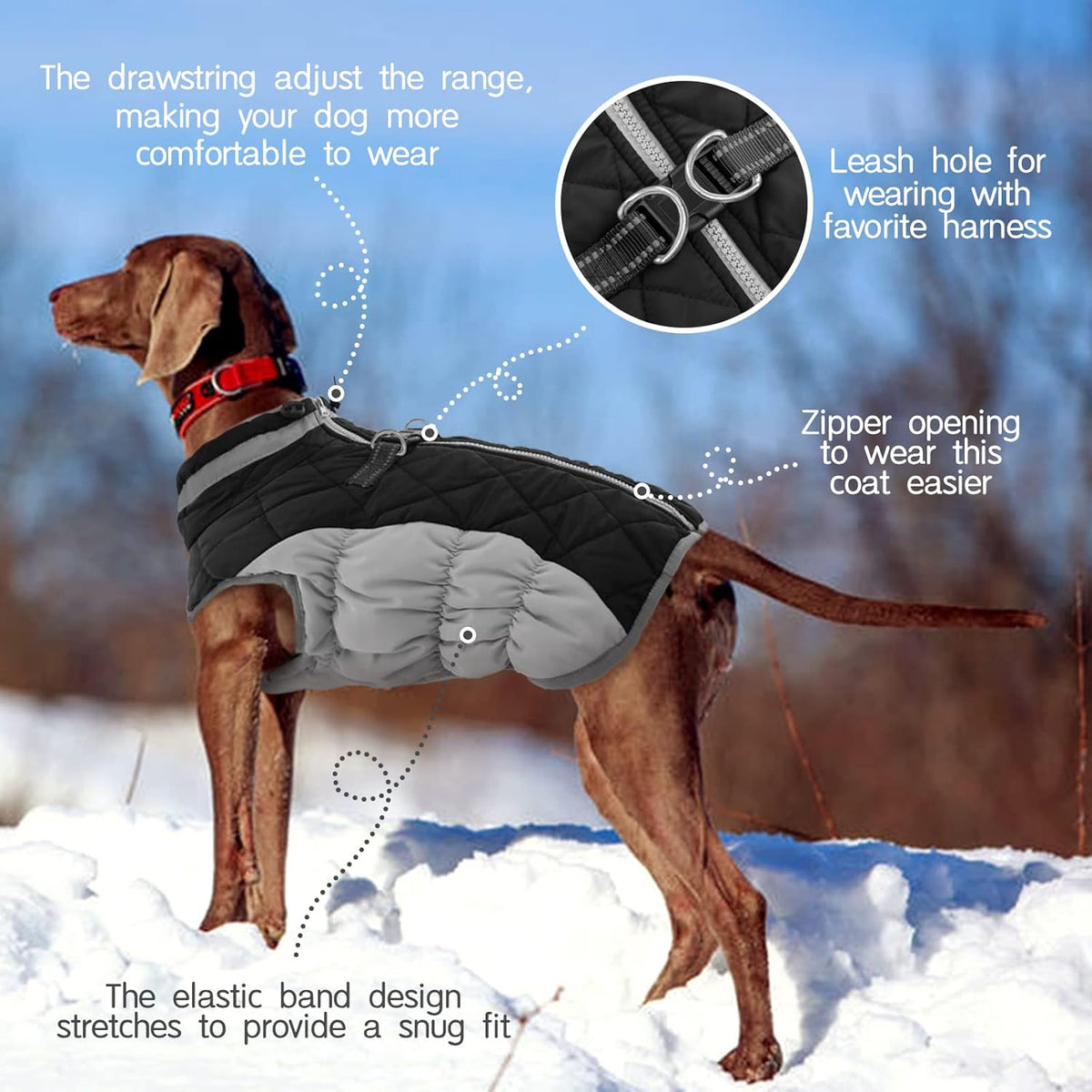 FUAMEY Dog Coat for Medium Dogs,Waterproof Dog Winter Jacket with Harness Built in Puppy Cold