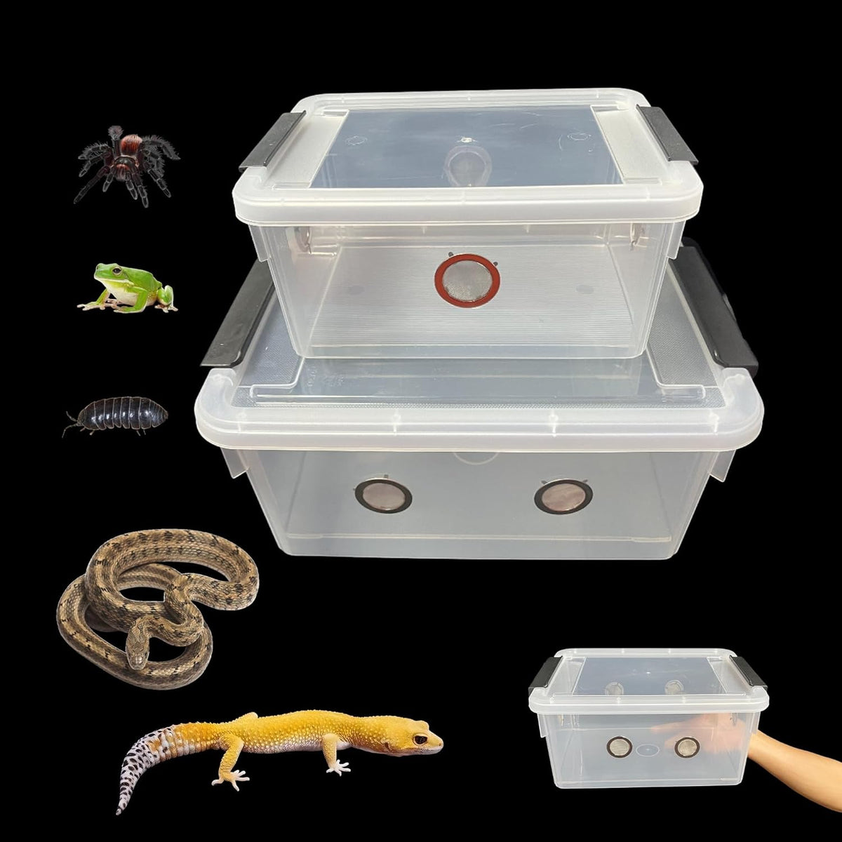2pcs Large Reptile Feeding Box Snake Breeding Box Plastic Reptile Tank for