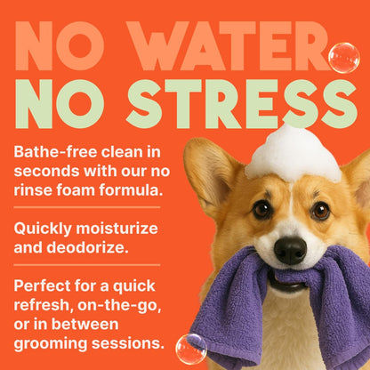 TropiClean No Rinse Waterless Dog Shampoo | Detangling & Deodorizing Dry Shampoo for Smelly Pets |
