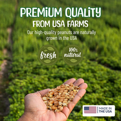 Premium Quality Raw Out of Shell Peanuts - 1 Pound - Shelled Peanuts for Birds – Wildlife Quality