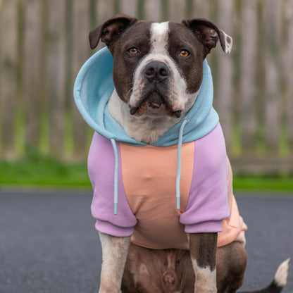 Spark Paws Dog Hoodie – Premium Dog Sweater for Small, Medium, and Large Dogs | Warm Outfits for