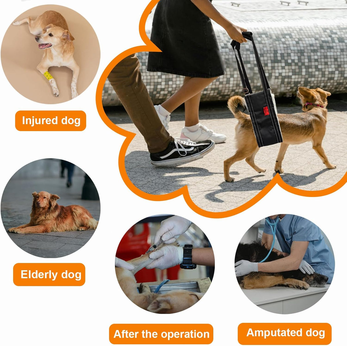 Dog Lift Harness - Adjustable Sling for Rear Legs with Soft Support for Senior, Injured, Disabled