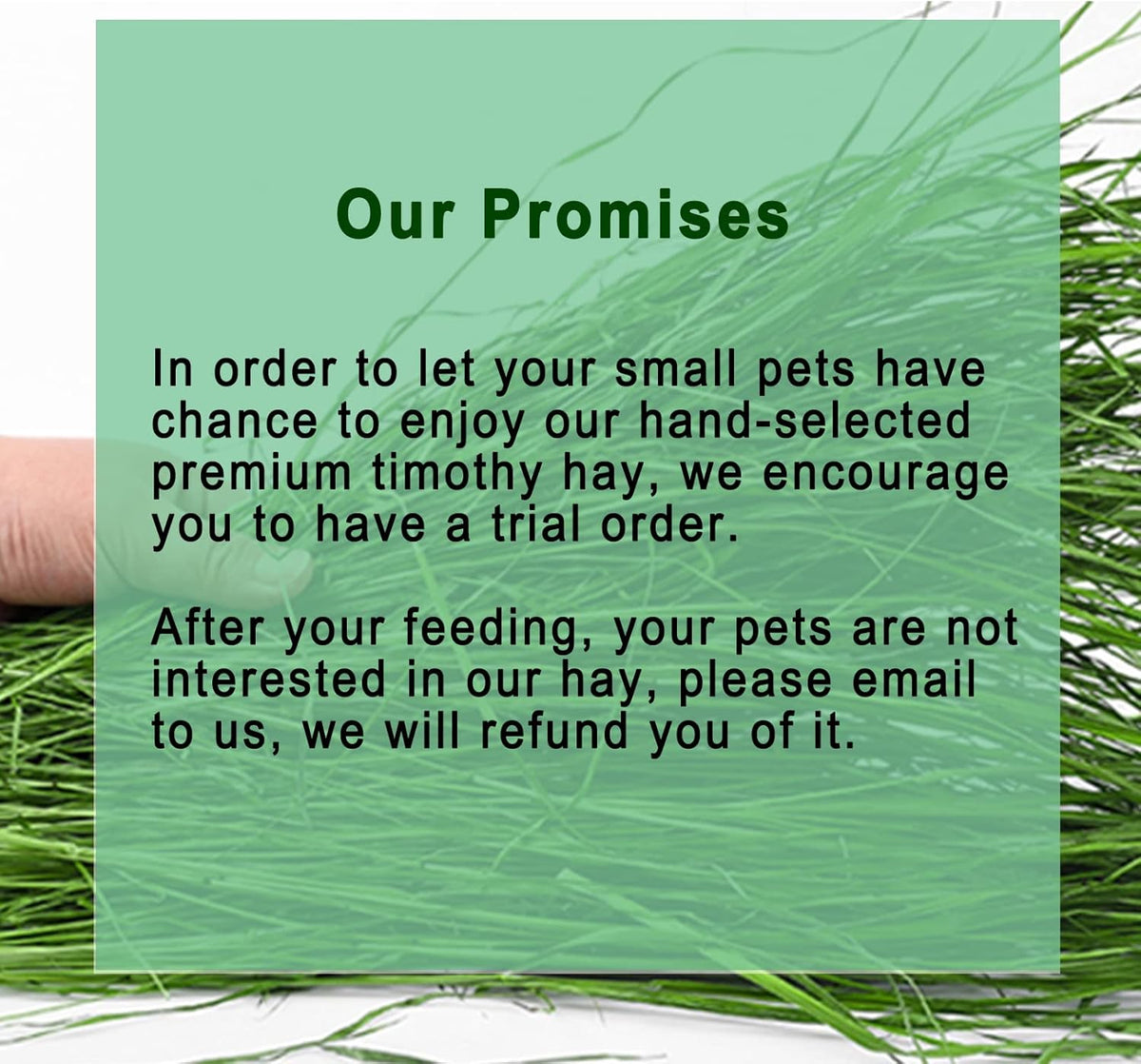 Timothy Hay 1.1LB - Dust Free Natural Green Fresh Food Hay for Rabbits Tortoise Guinea Pig