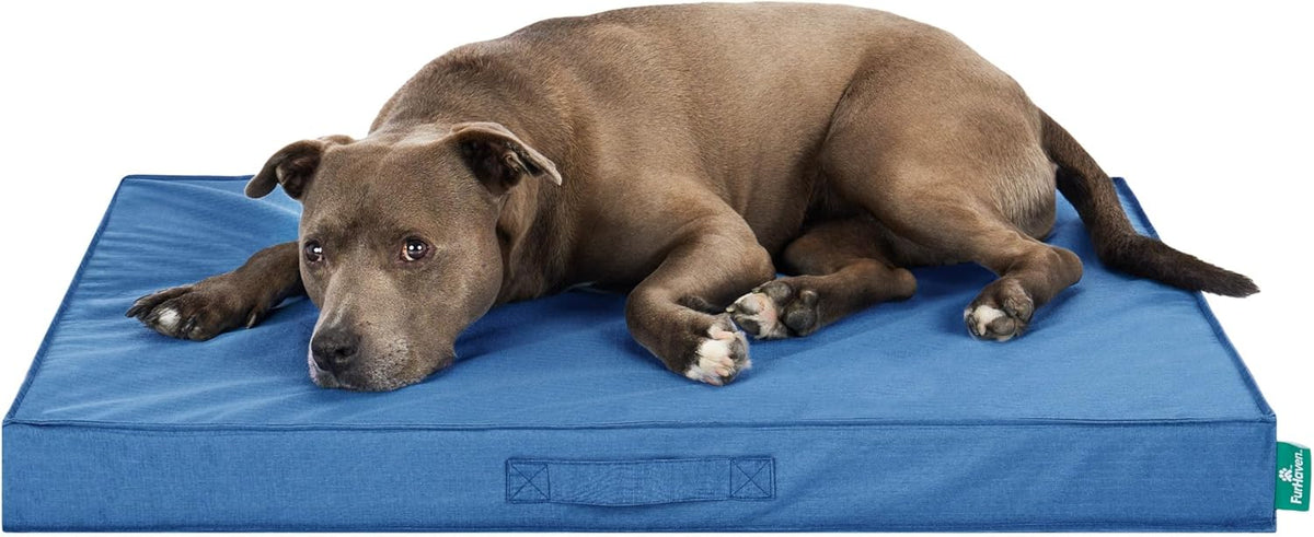 FurHaven Cooling Dog Bed – Large Foam Mattress for Joint Pain Relief, Waterproof Liner, Removable