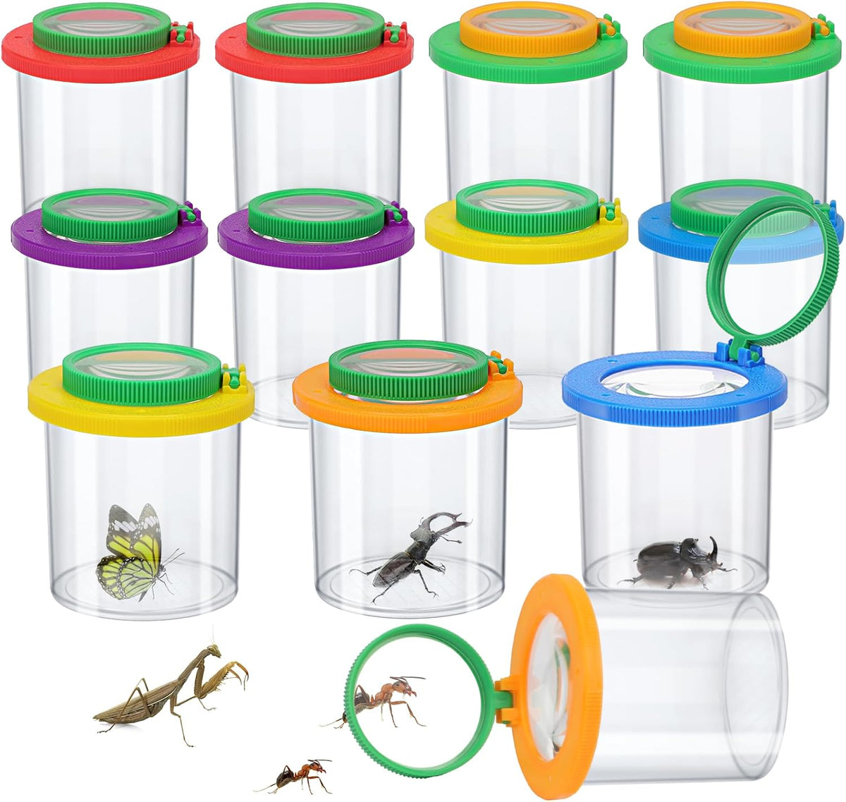Coopay 12 Pieces Magnifying Insect Box Bug Viewer Critter Insect Cage Bug Magnifier Container Bug
