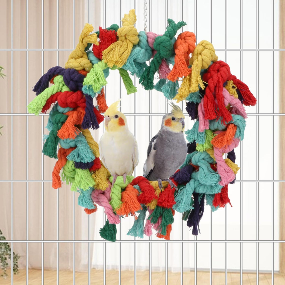 Bird Colorful Cotton Rope Hanging Ring Parrot Preening Grooming Chew Climb Biting Toy for African