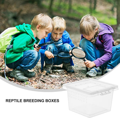 balacoo Reptile Feeding Box: 100Pcs Reptile Breeding Box Plastic Transparent Feeding Enclosure Case