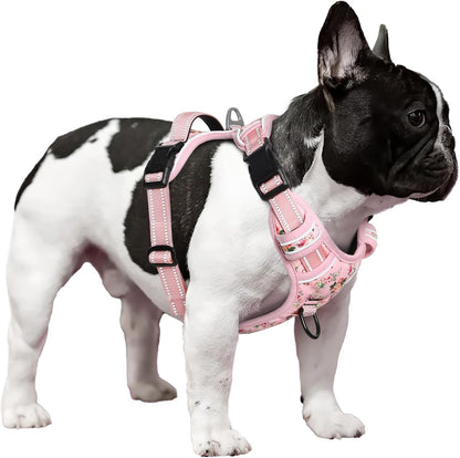 Timos Dog Harness, No-Pull Pet Harness with 2 Leash Clips, Adjustable Soft Padded Dog Vest