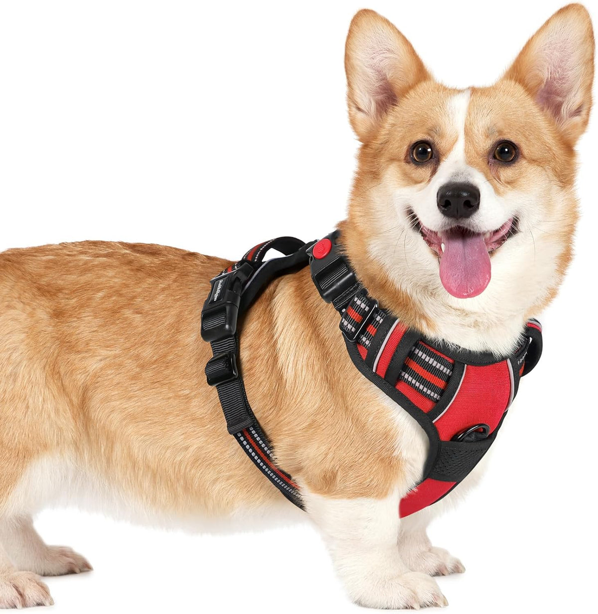 rabbitgoo Dog Harness Small Sized, No Pull Pet Harness with 3 Buckles, Adjustable Soft Padded Vest