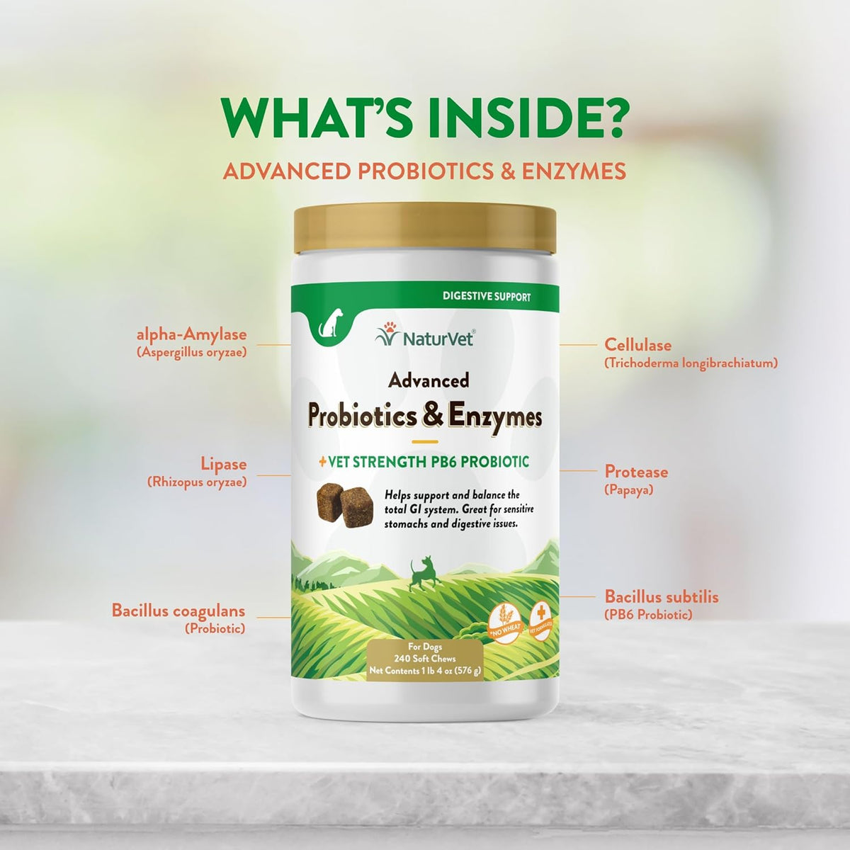 NaturVet Advanced Probiotics & Enzymes, PB6 Dog Soft Chews to Help Sensitive Stomachs and Digestive