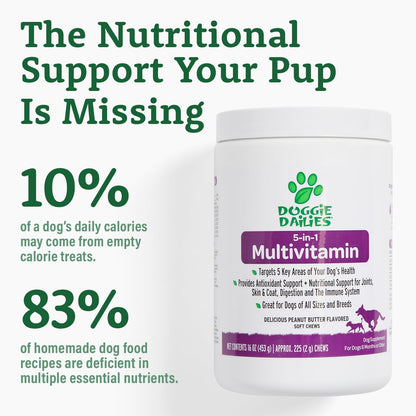 Doggie Dailies 5 in 1 Multivitamin for Dogs, Dog Multivitamin for Skin and Coat Health, Joint