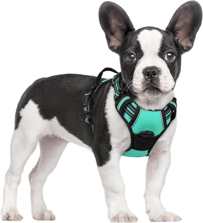 rabbitgoo Dog Harness No Pull with 2 Leash Clips, Adjustable Soft Padded, Reflective Oxford No