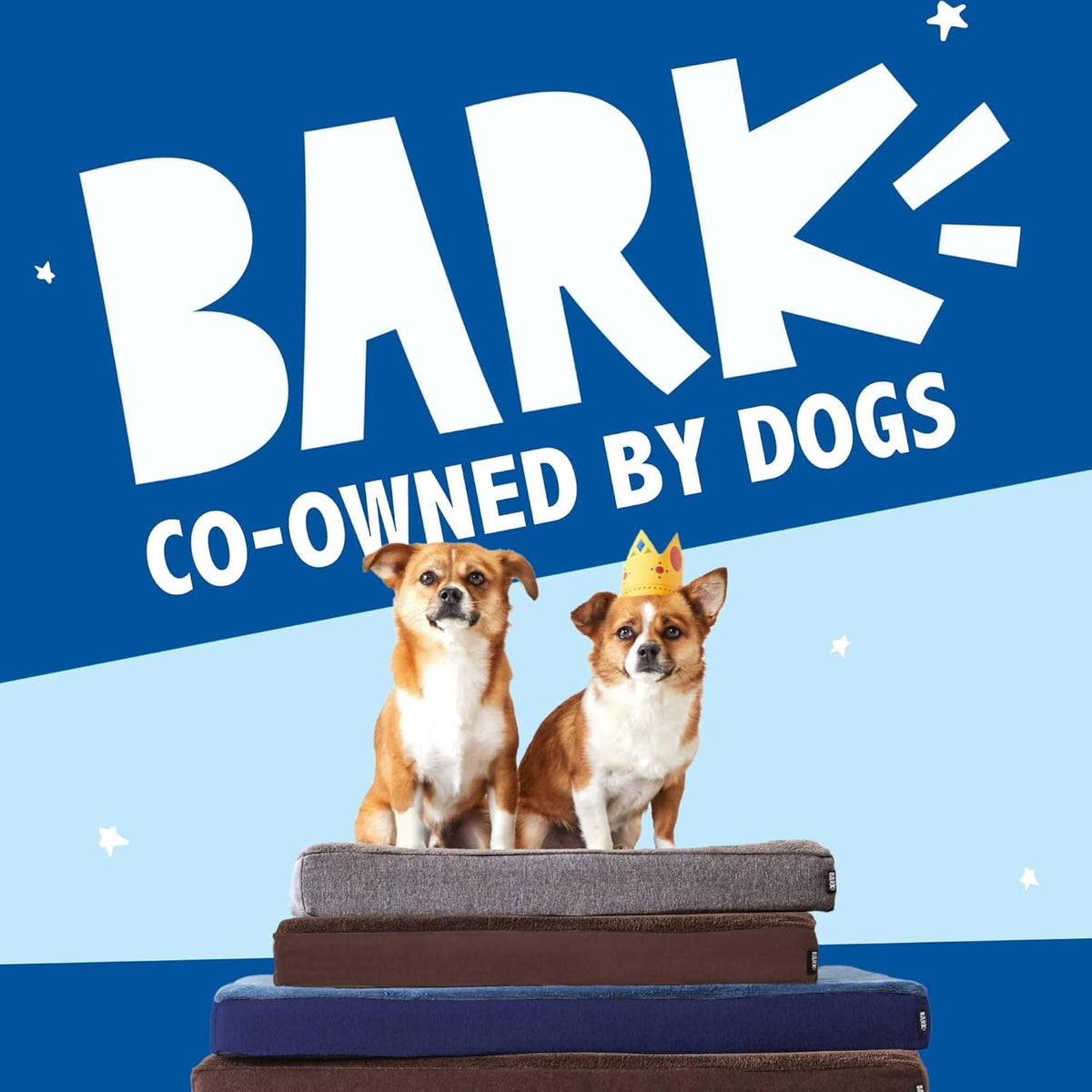 Barkbox Orthopedic Dog Bed with Memory Foam, Premium Comfort for Dogs and Puppies, Dog Bed for