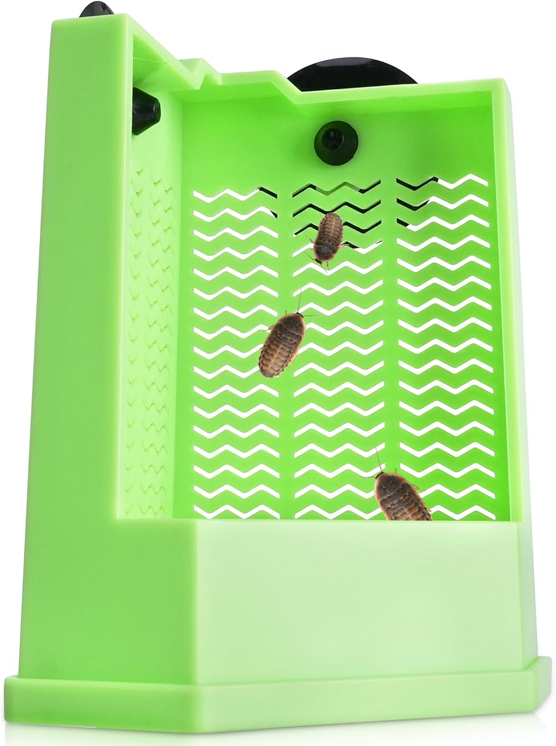Reptile Corner Hunting Bowl - Glass Mount Insect Feeding Box for Reptile with Suction Cup which is