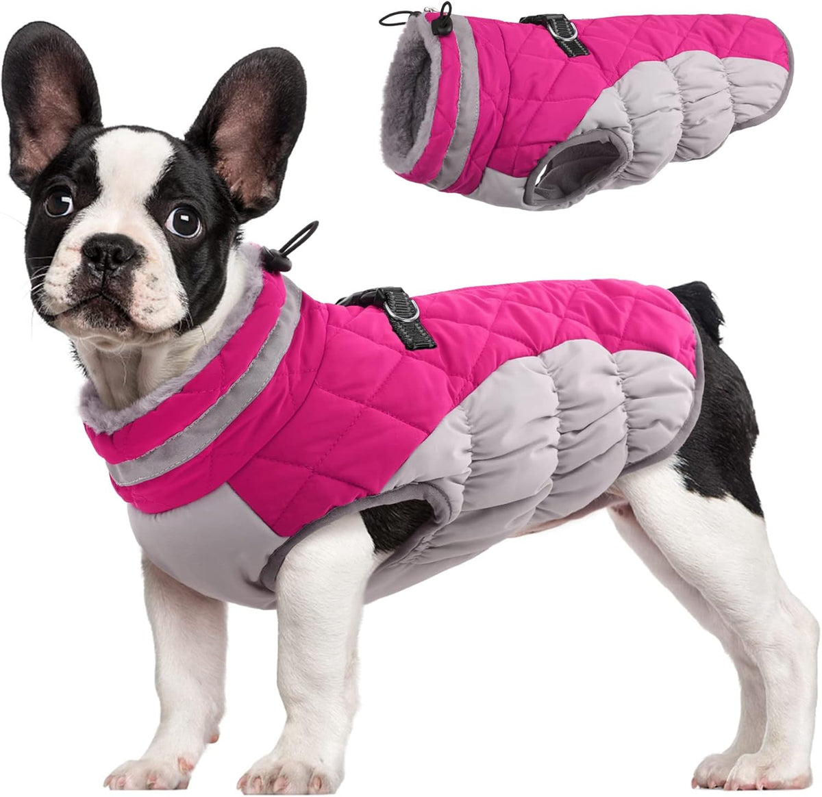 FUAMEY Dog Coat for Small Dogs,Waterproof Dog Winter Jacket with Harness Built in Puppy Cold