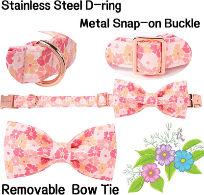 Unique style paws Cartoon Dog Collar with Bow Spring Summer Puppy Collar with Flower for Small