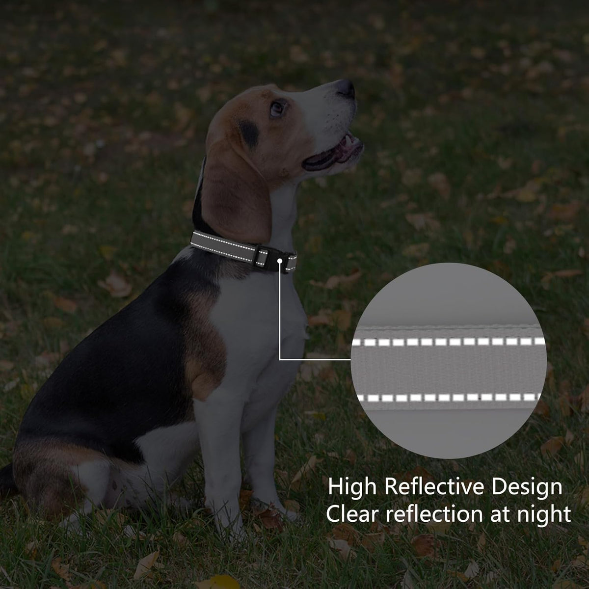 Reflective Dog Collar Padded with Soft Neoprene Breathable Quick Release Basic Dog Collars for