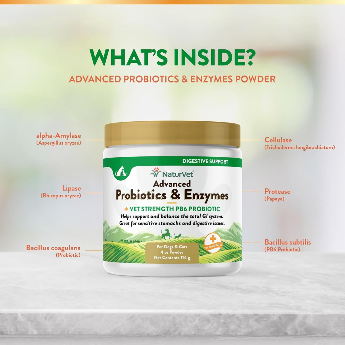 NaturVet – Advanced Probiotics & Enzymes - Plus Vet Strength PB6 Probiotic | Supports and Balances