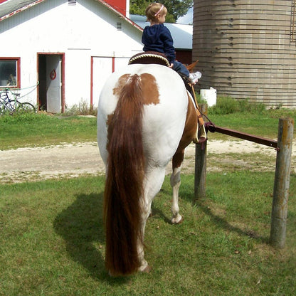 Horse Tail Extensions with Braided Horsehair Loop, Blunt Cut Bottom, 28-30 inches Long and 3/8 lb