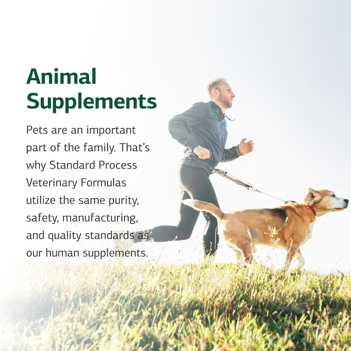 Standard Process Inc. Canine Cardiac Support - Dog Heart Health Supplement - Nutritional Formula to