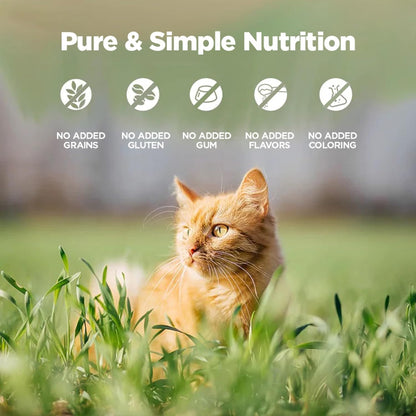ZEAL New Zealand Wet Cat Food – High Protein, Grain-Free with Superfoods (Venison, 3.17oz Can