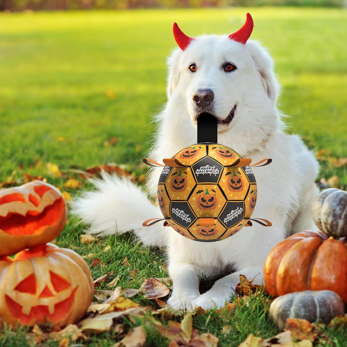 QDAN Halloween Dog Toys, Soccer Balls, Interactive Pet Toys, Puppy Dogs Birthday Gifts, Durable Dog