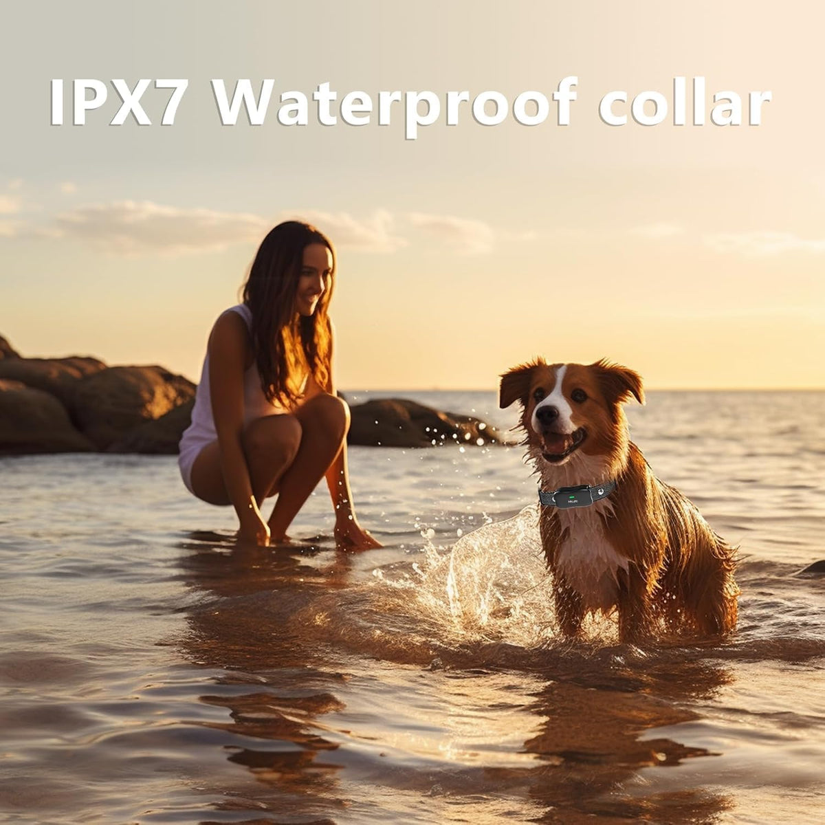 Wireless Dog Fence, 3500FT Fence Range, 6100FT Remote Training, 185 Days Rechargeable, IPX7