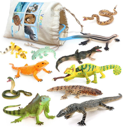 Volnau Animal Figurines Snake Toys 11PCS Reptile Figures Cold Blooded Amphibians Lizard Zoo Pack