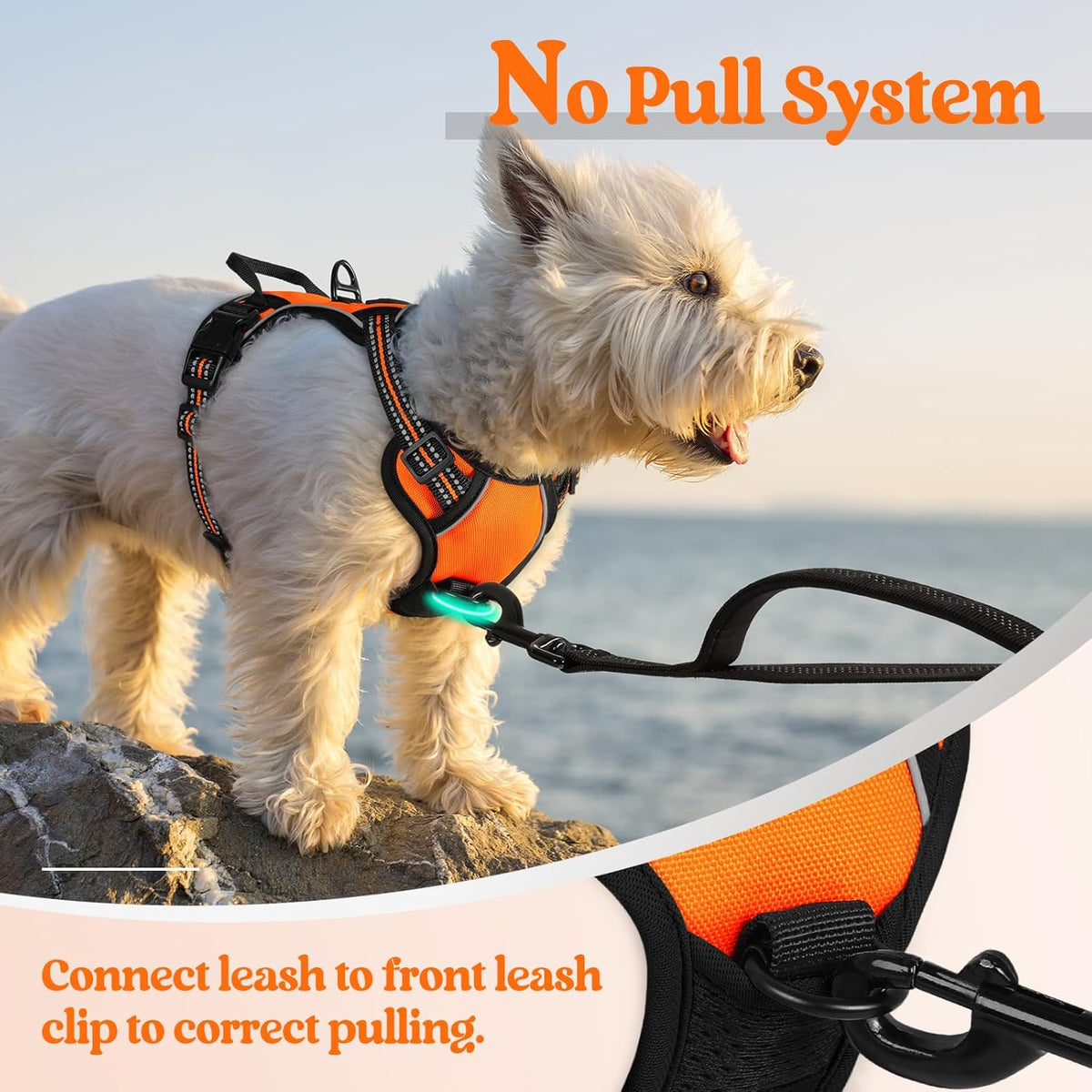 rabbitgoo Dog Harness No Pull with 2 Leash Clips, Adjustable Soft Padded, Reflective Oxford No